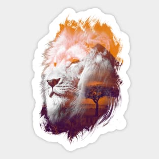 Eye of the Savanna Sticker